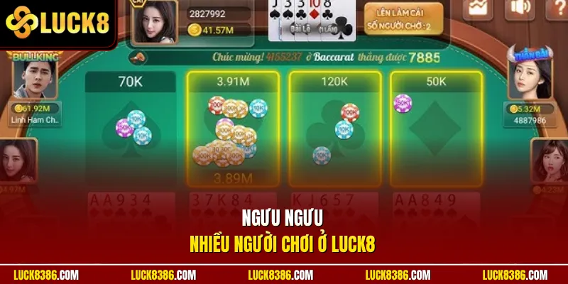 Ngưu ngưu nhiều người chơi ở Luck8